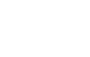 Dana Partner Logo